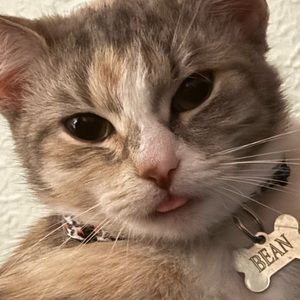 Meet your Posher, Abby